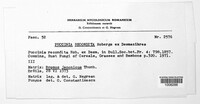 Puccinia recondita image